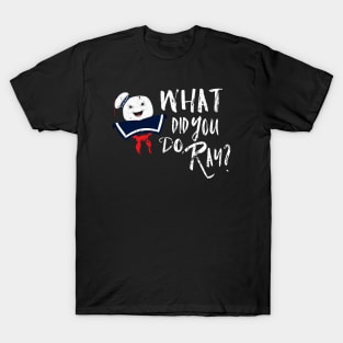 What Did You Do T-Shirt